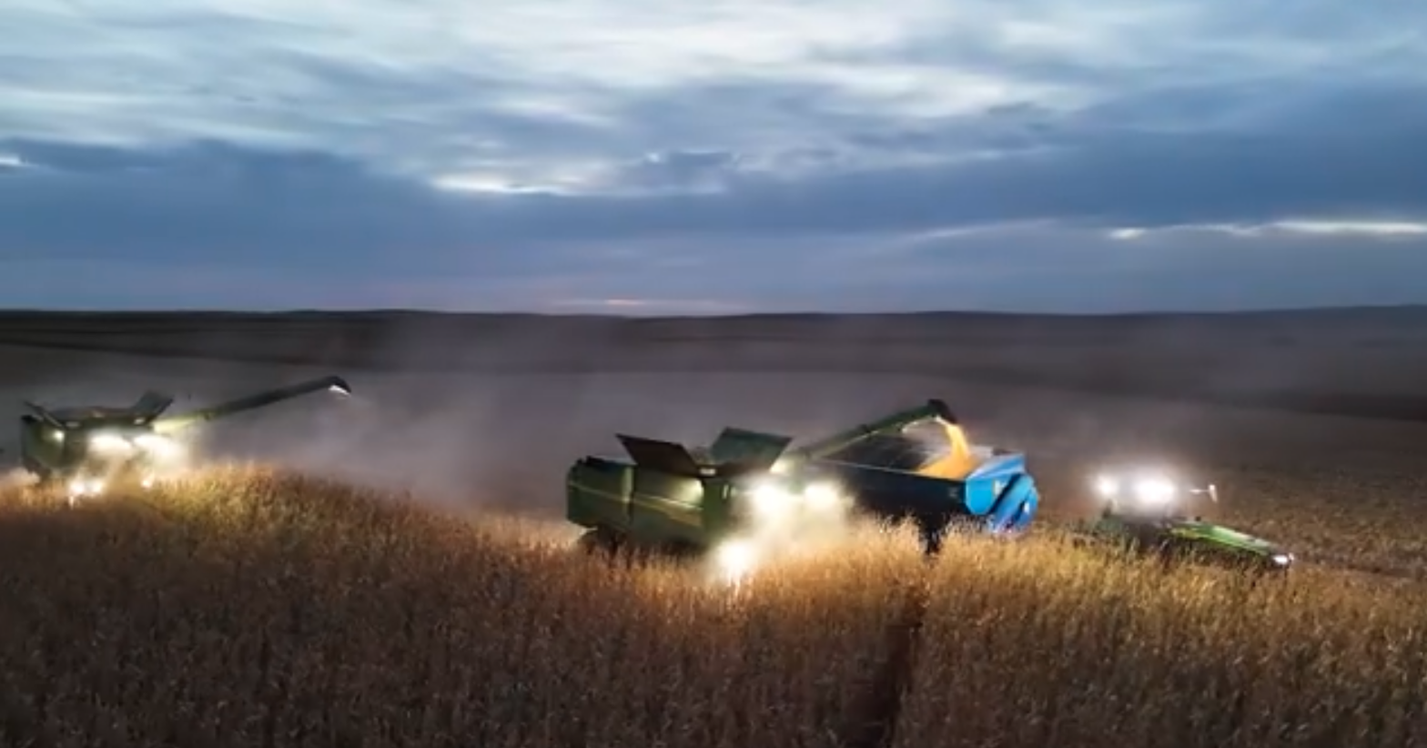 Combines running through a corn field at night.